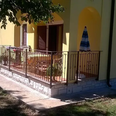 Smajlovic Kukci
